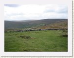1043-Grimspound Bronze Age Settlement * 800 x 600 * (59KB)